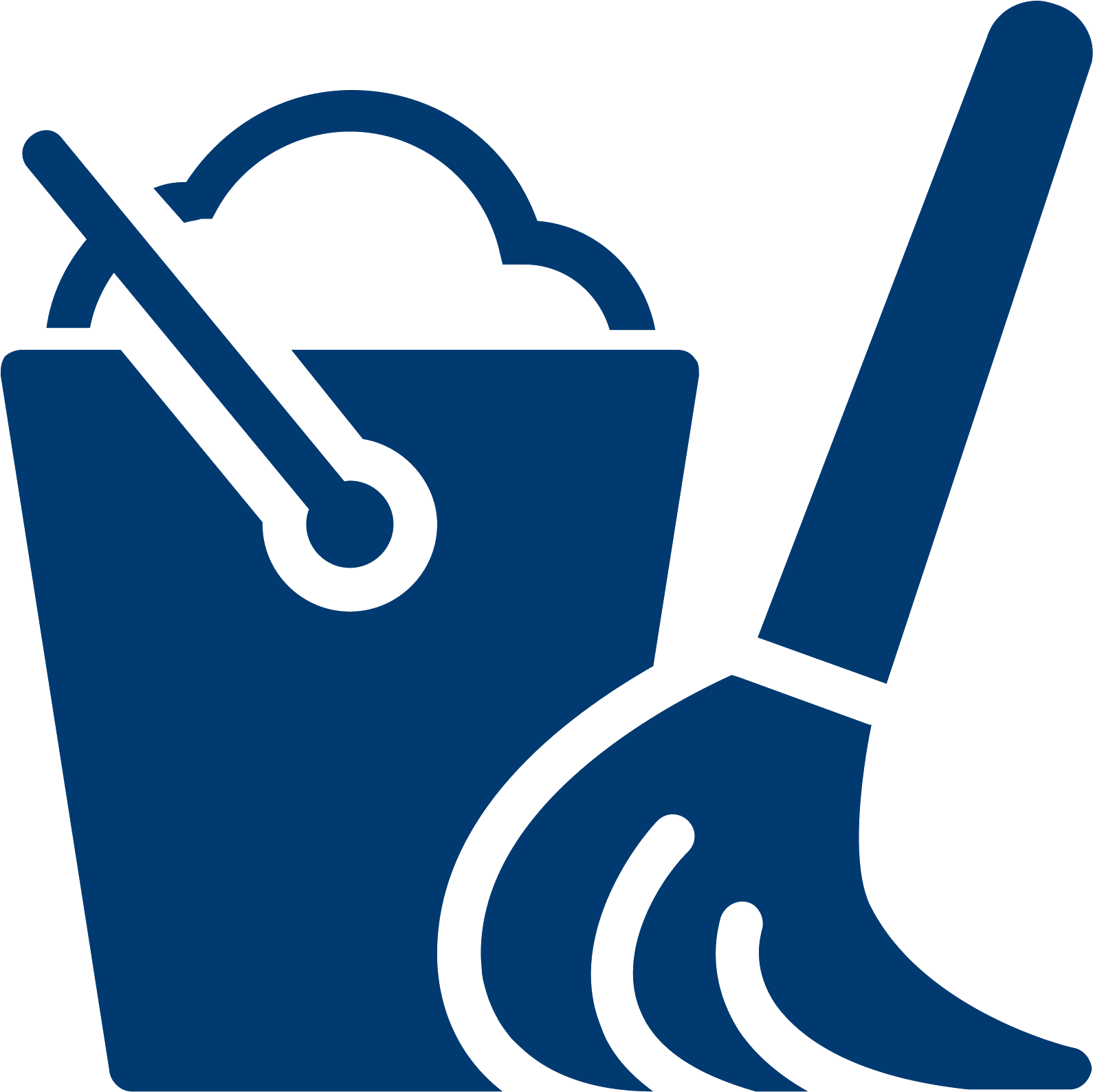 Curatenie icon